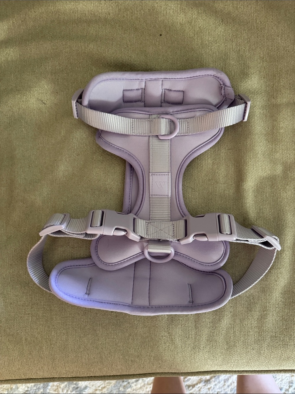 Lavender Padded Dog Harness with Adjustable Straps